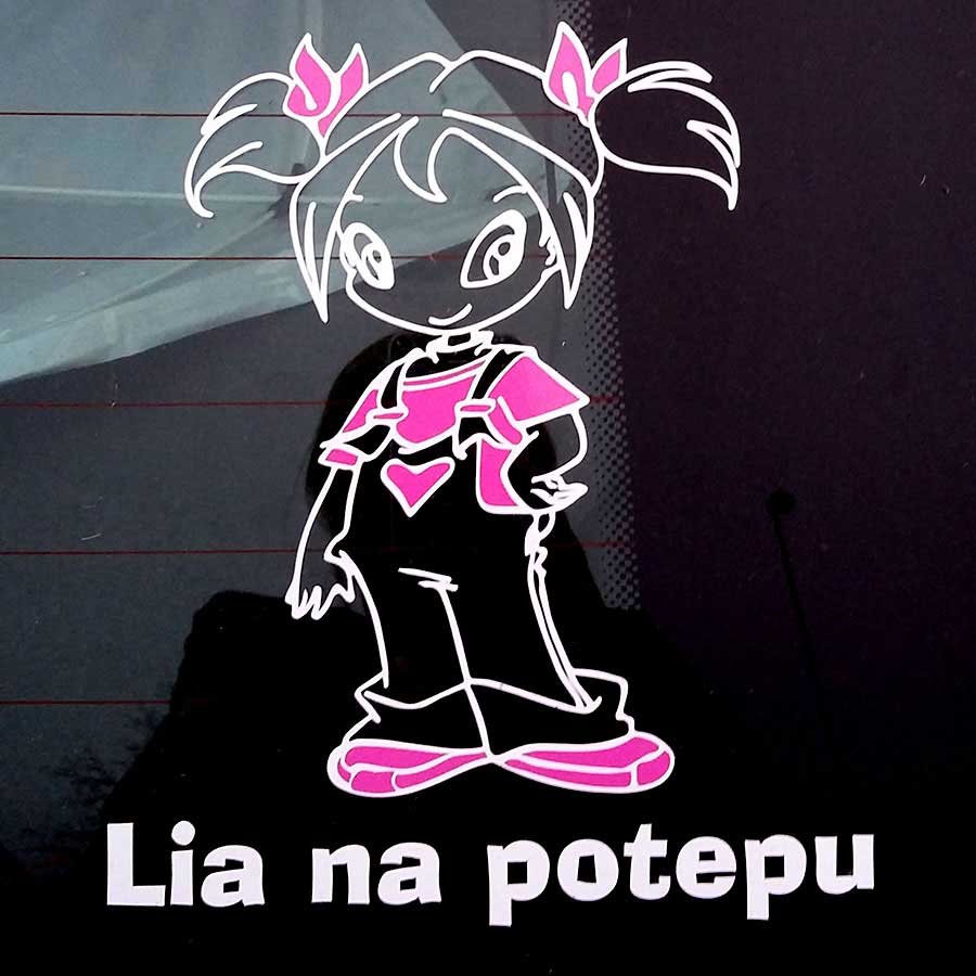 Nalepka deklice z rožnatimi čopki in besedilom po želji na zadnjem steklu.